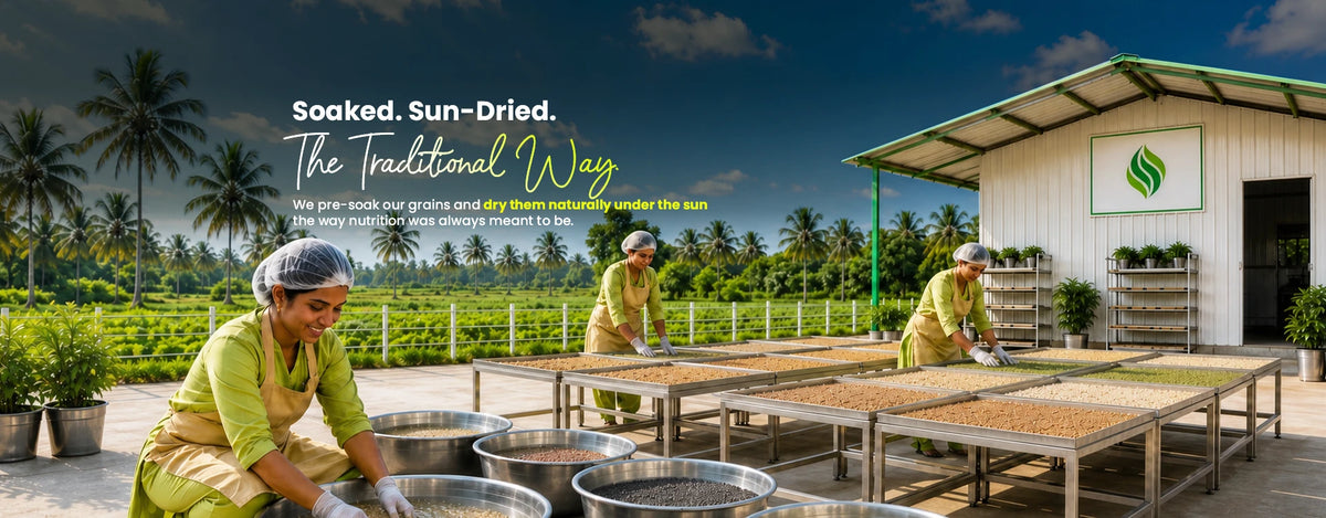 Women in aprons and hairnets spreading soaked millets across steel sun-drying trays at the Sidhya Purity facility